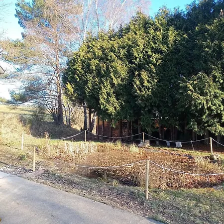 Nenuphar, 4 Couchages, Acces Et Sauna Saulcy-sur-Meurthe
